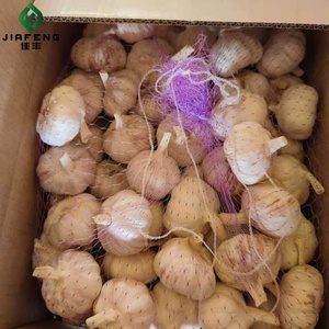 Bon <span class=keywords><strong>prix</strong></span> <span class=keywords><strong>Ail</strong></span> blanc frais chinois pour la vente en gros de légumes frais en sacs/cartons en filet de 20kg <span class=keywords><strong>prix</strong></span> d'usine <span class=keywords><strong>ail</strong></span> blanc frais - Product Image 4