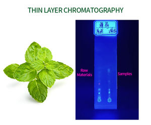 Fornitura all'ingrosso di estratto naturale di menta piperita in polvere idrosolubile per alimenti per animali domestici in fusti e lattine - Product Image 3