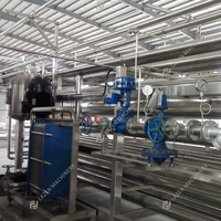 Automatische hoogwaardige industriële guavensapmachine guava verwerkingsmachine