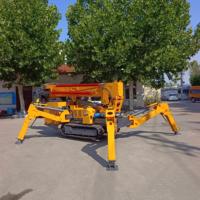Cylindre d'huile externe pour grue araignée 3 tonnes certifiée CE, personnalisable directement en usine pour l'installation de murs-rideaux en verre