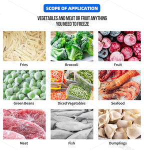 Congelador de túnel en espiral de baja temperatura Shepody con control de temperatura para congelación rápida de dumplings, maíz y zanahorias - Product Image 6