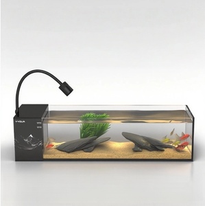 <span class=keywords><strong>Aquarium</strong></span> rectangulaire de 60 cm en verre ultra-blanc, design moderne, table basse, <span class=keywords><strong>aquarium</strong></span>, filtre, vente en gros d'usine - Product Image 1