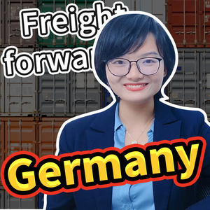 شحن بحري DDP خدمة FBA من الصين إلى أوروبا ألمانيا وكيل شحن/وكيل شحن لـ LCL + Express - Product Image 6