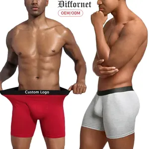 Sous-vêtements haut de gamme pour hommes, Boxer, slip, Bikini avec entrejambe confortable en coton de 5 pouces, sous-vêtements grande taille pour hommes