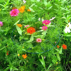 4 /8 PCS <span class=keywords><strong>Support</strong></span> pour <span class=keywords><strong>plantes</strong></span> Pile Demi-rond Anneau Piquet Extérieur Jardin Fleur Vigne Métal Escalade <span class=keywords><strong>Support</strong></span> Légumes Tige Fixe Rack - Product Image 5
