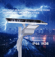 S0220 Lampadaire LED solaire 40W Contrôle de charge MPPT Plusieurs modes de contrôle intelligents IP66 pour l'utilisation de l'école de jardin de route
