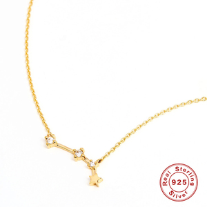 RINNTIN XP065 clásico exquisito 925 <span class=keywords><strong>plata</strong></span> esterlina doce constelaciones Logo colgante collar encanto Collar para mujer - Product Image 6