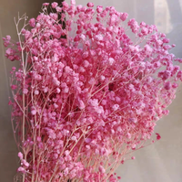 Leuchtend Bunte Getrocknete und Konservierte Gypsophila-Blüten für Weihnachtliche Heimdekoration zum Vorteilspreis
