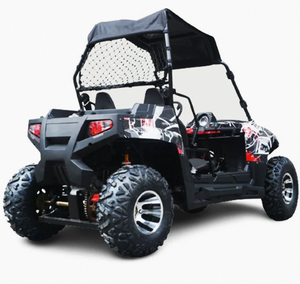 รถ UTV พรีเมียมแบบประกอบเอง 300 ซีซี พร้อมรถพ่วง สองที่นั่ง 3 สูบ 4 จังหวะ OEM/ODM แฮนด์พลาสติก เจ้อเจียง สำหรับผู้ใหญ่ - Product Image 5