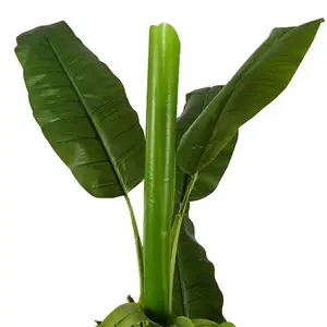 Plantes tropicales de style classique embellissent les plantes d'intérieur, plante de banane artificielle Musa Basjoo