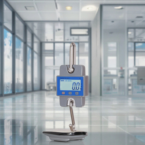 30 किलो 300 किलोग्राम मिनी प्रकार का वाटरप्रूफ डिजिटल वायरलेस क्रेन वजन पैमाने 150 किलोग्राम के साथ इलेक्ट्रॉनिक फांसी स्केल - Product Image 6