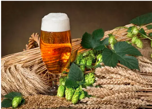 Hop <span class=keywords><strong>Extract</strong></span> 10:1 Meerdere Specificaties Hop <span class=keywords><strong>Extract</strong></span> <span class=keywords><strong>Hops</strong></span> <span class=keywords><strong>Extract</strong></span> Poeder - Product Image 4