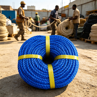 Câble métallique torsadé LONGQI en PP haute résistance, durable et flexible, de 1 mm à 30 mm, longueur personnalisable pour l'emballage et la pêche