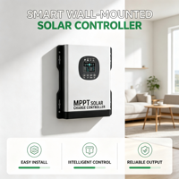Contrôleur solaire MPPT 120A 192V 99% haute performance avec transformateur toroïdal, onde sinusoïdale pure, charge en 3 étapes pour installation solaire