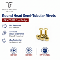Rivets semi-tubulaires à tête ronde personnalisés TianFang pour prototypes de boîtiers d'éclairage, en titane poli, échantillonnage rapide, révision des dessins