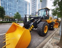 Pala Gommata Usata di Alta Qualità Modello ZL50GN per Uso Agricolo e Fattoria, 5 Tonnellate