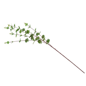 Feuilles d'eucalyptus artificielles Lichao, plante verte pour la décoration de la maison, mariage, accessoires de photographie en extérieur - Product Image 5