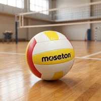 Ballon de volley-ball taille 5, vessie en PU, surface en PU imperméable, pour intérieur et plage, multi-usages