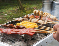 Barbecue portable pliable miniature en acier au charbon de bois jetable