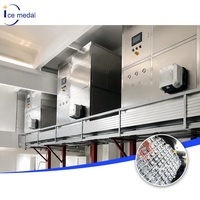 Máquina Automática para Hacer Hielo en Cubos de 3 Toneladas para Fábrica de Hielo Comestible con Solución Integral de Producción de Hielo