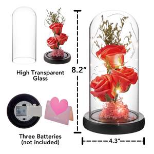 Оптовая продажа, светлая Роза, вечная Цветочная Подарочная коробка, сохраненный стеклянный купол для рождественской годовщины, День матери, День святого Валентина - Product Image 2