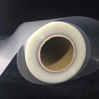 Terlaris Milky Inkjet Film Bopet Film Kualitas Tinggi 100 Mic Cetak Silkscreen A4 Inkjet Pet Transparan Kertas Film