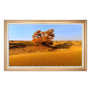 Gương Biến Mất Ẩn Chống Nước Phòng Tắm Thông Minh 27 Inch <span class=keywords><strong>TV</strong></span> Thông Minh Hệ Thống WebOS <span class=keywords><strong>TV</strong></span> Trang Trí Có Khung - Product Image 1