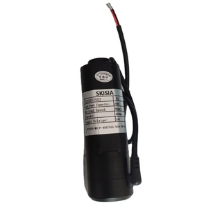 Actuador Lineal SKISIA DP1200-M6-P-50/155-S11-24V-0.5 IP1200-M6-P-450/555-S19-24V-6 Producto Nuevo Original - Product Image 3