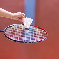 Volants de badminton en plumes d'oie Victor MASTER No.7, classe professionnelle A