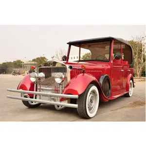 Luxury sightseeing bus golf cart with doors for tourism