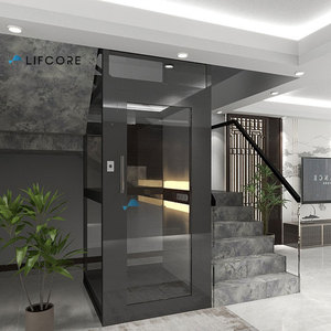 Precio de fábrica, ascensor de villa residencial de alta estabilidad, ascensor <span class=keywords><strong>para</strong></span> discapacitados <span class=keywords><strong>para</strong></span> el hogar - Product Image 4