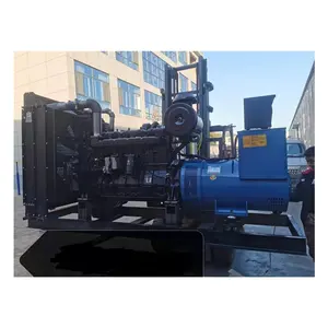 Diesel Power Generator Set Elektromotor Grote Blauwe Generator Stille Commerciële Generator