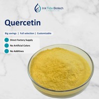 Approvisionnement direct usine : Poudre d'extrait de quercétine séchée par atomisation (HPLC) de qualité alimentaire 95% issue de fleurs de pagode, pour compléments alimentaires