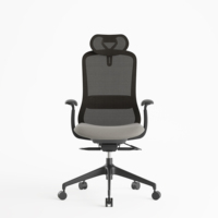 Coussin de siège ergonomique professionnel coloré pour chaise de bureau, coussins de chaise de direction, mobilier de bureau, chaise de patron en métal et aluminium