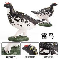 Yxs simulé poulet modèle animal jouet thunderbird neige caille tétras famille enfants illumination enseignement SIDA cognition