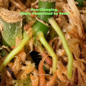 Natural <b>Dried</b> Sphagnum <b>Moss</b> 1L Organic Plant Growing Medium Sterilized Fast Water Retention for Orchids Seedlings Pots - Product Image 4