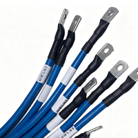 Harness Kabel Berinsulasi Biru Tugas Berat Khusus dengan Konektor Tembaga Berulir untuk Kabinet Kontrol, Peralatan Tenaga, Modul Energi Baru