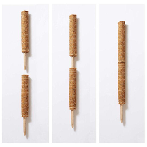 Grandes perches à mousse, grands bâtons <span class=keywords><strong>de</strong></span> soutien pour plantes, piquets <span class=keywords><strong>de</strong></span> soutien en fibre <span class=keywords><strong>de</strong></span> <span class=keywords><strong>coco</strong></span>, perches à mousse pour plantes grimpantes en pot, en bois et fibre <span class=keywords><strong>de</strong></span> <span class=keywords><strong>coco</strong></span> pour le jardin - Product Image 5