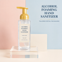 Désinfectant Mousse Anti-Bactérien à Base d'Alcool, Séchage Rapide, Écologique, Sans Eau, Hygiène des Mains en Mousse, Pompe Distributrice, Logo Personnalisé pour