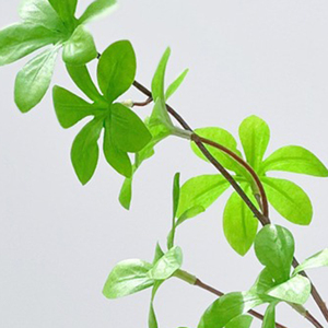 Plante verte artificielle <span class=keywords><strong>masaki</strong></span> cloche plante salon fleur pièce maîtresse simulation fleur décoration - Product Image 5