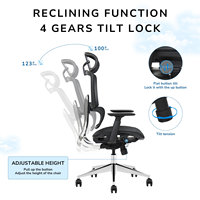 Chaise de bureau ergonomique en maille pour cadres, confortable, avec support lombaire, pour la maison et le bureau, chaise d'ordinateur, vente en gros
