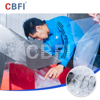Vente directe d'usine CBFI en Chine de machines à glace tubulaire commerciales de 10 tonnes, équipées de filtres à eau et de machines d'emballage.