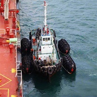 Amortisseur en caoutchouc pneumatique flottant d'amarrage de bateau marin pour le dock/bateau/bateau
