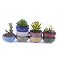 Nouveau mignon glace-fissure glaçure 7 couleur fleur céramique succulente planteur Mini Pot jardin pot de fleurs pour la maison bureau décor plante Pot OEM