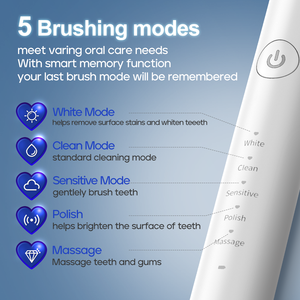 Brosse à dents électrique sonique rechargeable SEAGO SG-2750 OEM personnalisée 42000 VPM pour adultes avec minuteur de 2 minutes et indice IPX7 - Product Image 2
