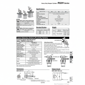 กระบอกสูบนิวเมติกส์สำหรับงานหนักสินค้ากระบอกสูบ RS2H63-30DL - Product Image 1