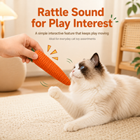 Katten speeltje van papieren touw met geluid voor interactief binnen spelen