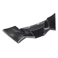 Pour F900R S1000R M1000R : Extension de bec de carénage en fibre de carbone, couvercle de bec, spoiler, ailerons avant, carénage, accessoires d'aile aérodynamique