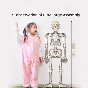 Modelo de anatomía de órganos internos del esqueleto <span class=keywords><strong>humano</strong></span>, estructura corporal para niños, juguete de aprendizaje cognitivo para educación temprana, biología y ciencia - Product Image 4
