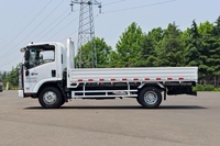 Camion léger Isuzu 4x2, mini-camionnette commerciale pour livraison urbaine